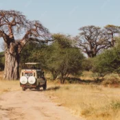 A tour van close to wildlife in a national park - Mweri expeditions