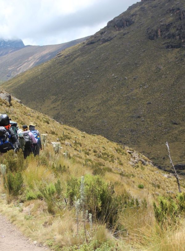 Acclimisation days are encouraged on the Mount Kenya hike