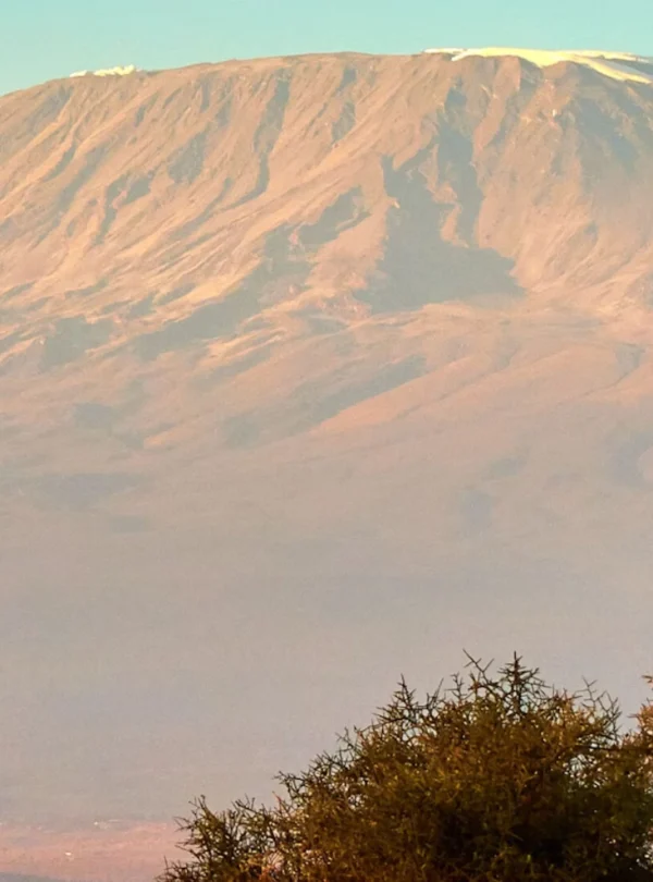 Acclimisation days are encouraged on the Mount Kilimanjaro hike - Mweri Expeditions