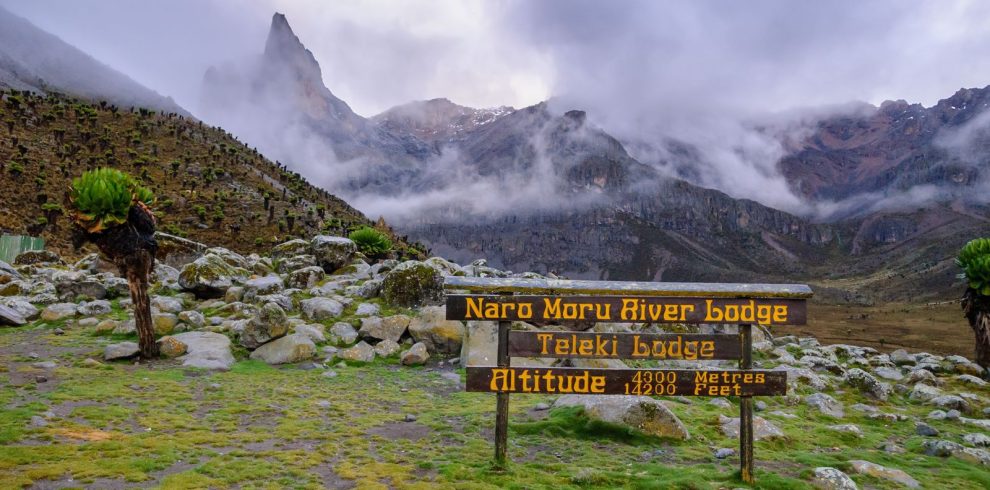 Naro- moru hiking trail leading to the top of mount Kenya