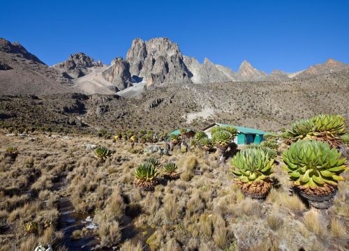 5-Day Mount Kenya Climb – Sirimon Route