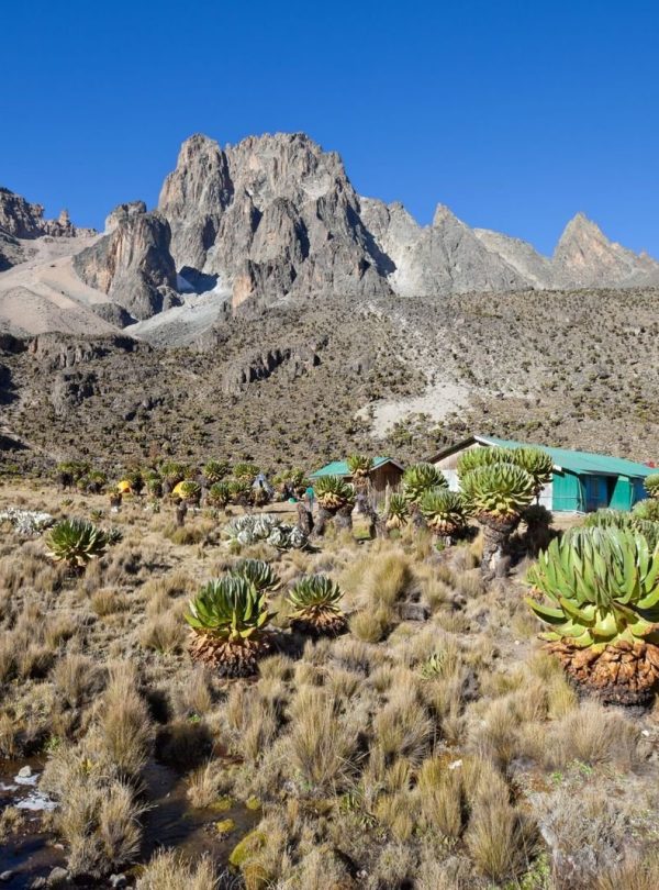 Shipton's Camp is located on the north side of Mt. Kenya, at an altitude of 4238m