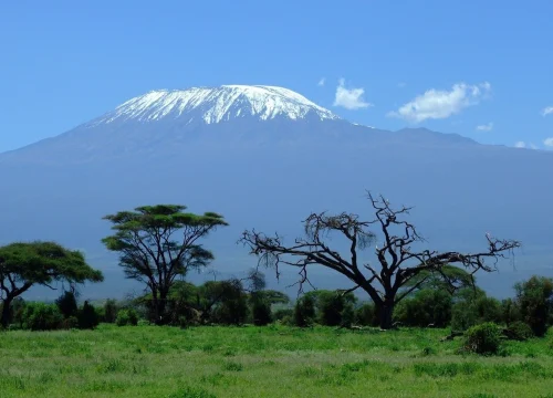 6 Days Mount Kilimanjaro Standard Climb – Machame Route