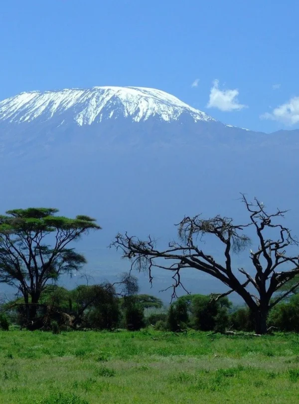 The mighty Mount Kilimanjaro , with a huge mixture of vegetation along the route.