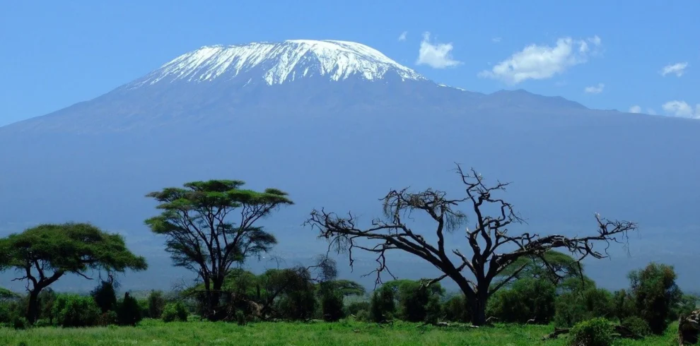 The mighty Mount Kilimanjaro , with a huge mixture of vegetation along the route.
