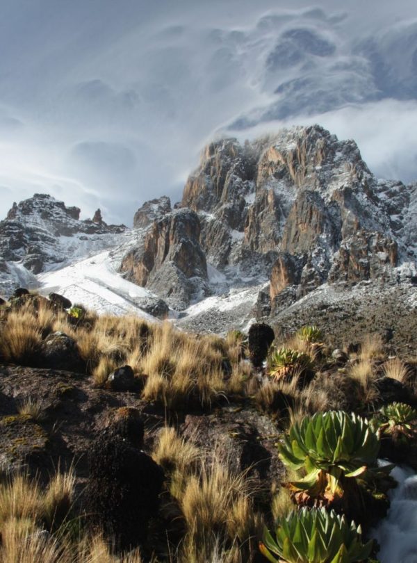 The mighty Mountain Kenya reaches 5,199m high, with a huge mixture of vegetation along the route.