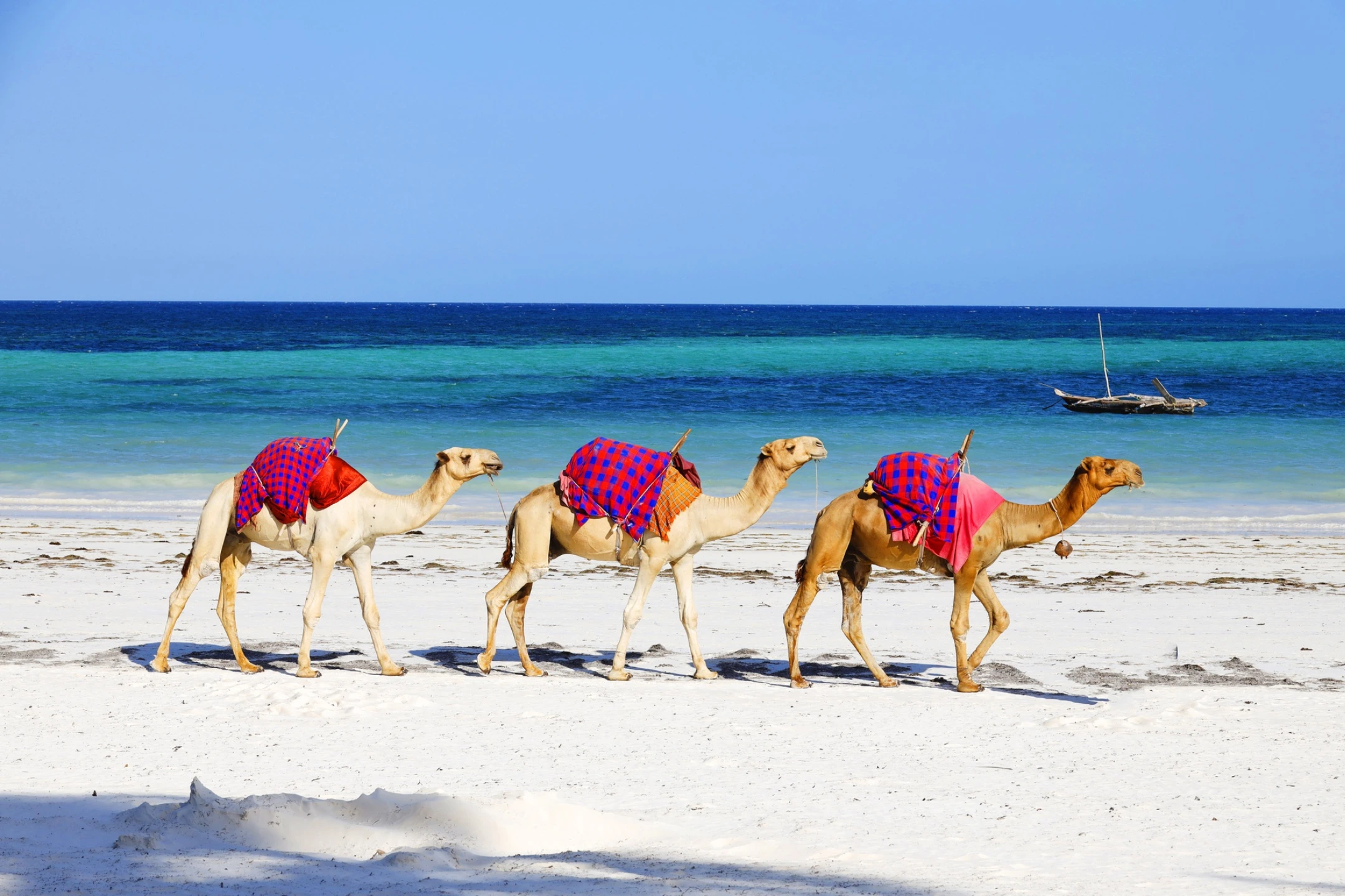 The Spice Island Paradise