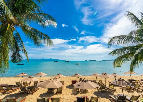 4 Nights / 5 Days – Diani Beach Escape