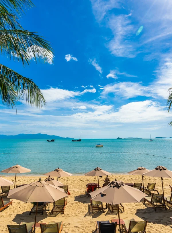 beautiful-tropical-beach-sea-ocean-with-coconut-palm-tree-umbrella-chair-blue-sky - Mwweri expeditions