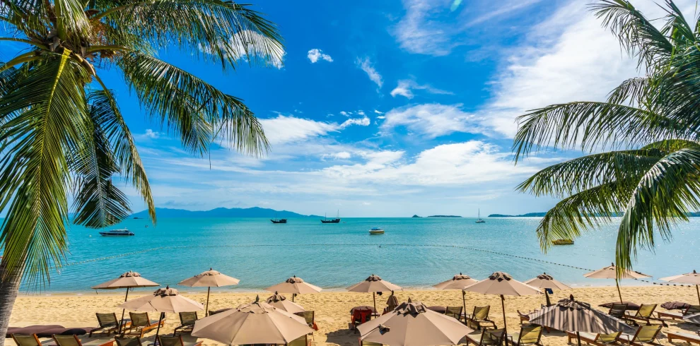 beautiful-tropical-beach-sea-ocean-with-coconut-palm-tree-umbrella-chair-blue-sky - Mwweri expeditions