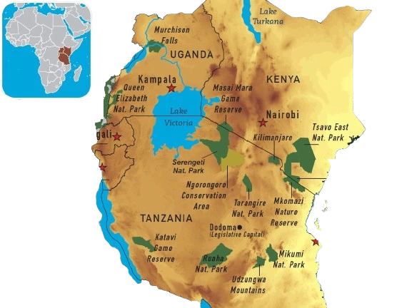 east_africa_safari - mweri expeditions