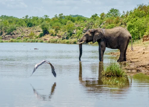 4 Days / 3 Nights – Ngorongoro Conservation Area & Lake Manyara Safari