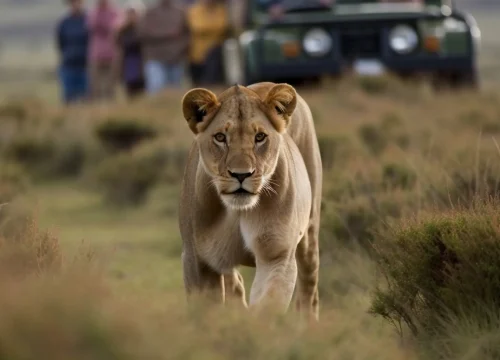 Savannah & Sands: 7-Day Tarangire, Serengeti & Zanzibar Escape